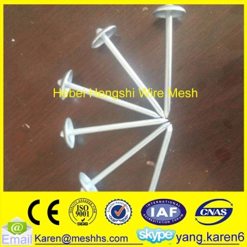 iron umbrella head roofing nails