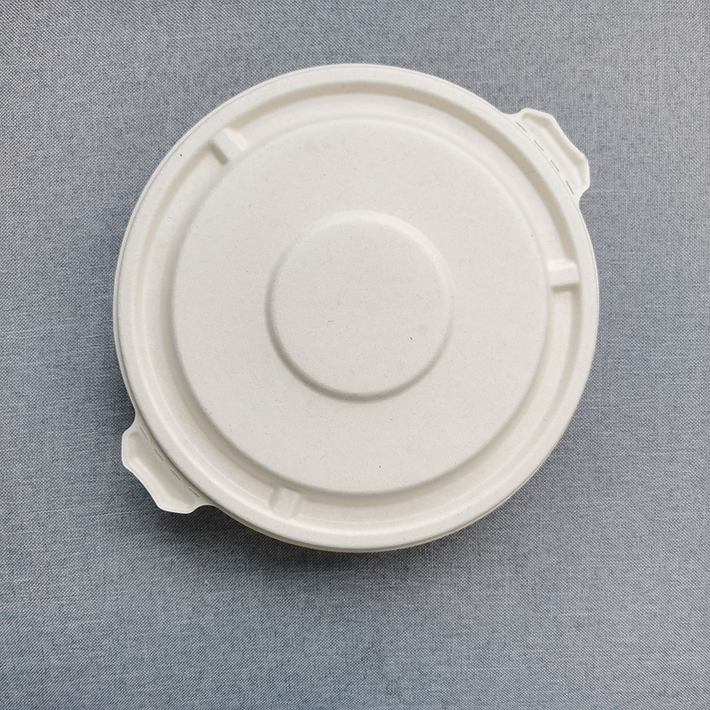 takeaway bowl with lid