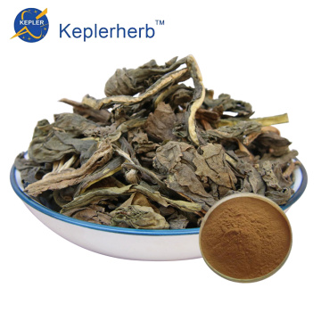 Indigowoad Leaf Extract Powder