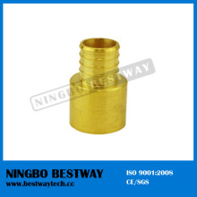 CSA Approved Copper Pex Sweat Adapter Pipe Fitting