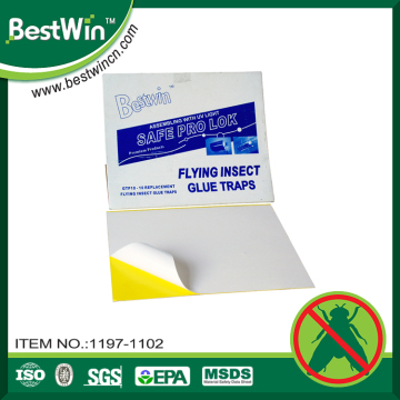 professional adhesive factory safe non-toxic traps glue paper roll trap flies enemy