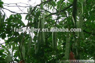 2015 Gleditsia Sinensis Lam Seeds Gleditsia Heterophylla Seeds Gleditsia Microphylla Seeds For Growing