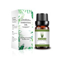Natural Rosegrass Palmarosa ätherisches Öl für die Aromatherapie