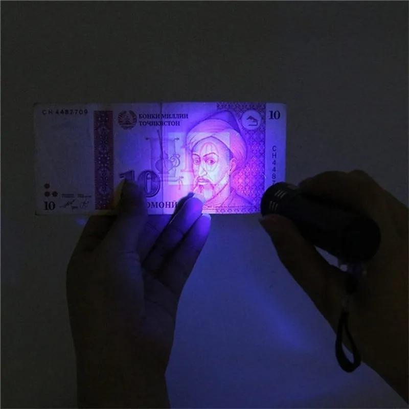 Portable UV Black Light Detector for Scorpion and Pet Urine Detection