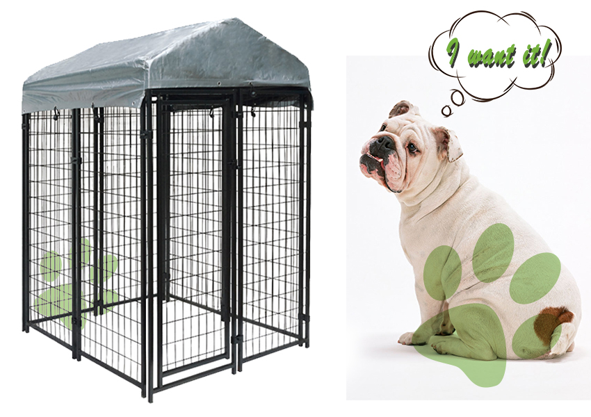 large wire dog crate