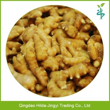 2015 wholesale ginger chinese fresh mature ginger