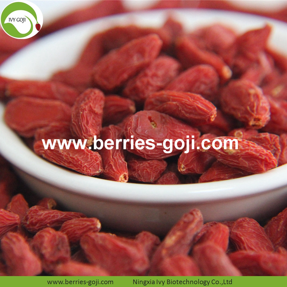 Common Goji Berry