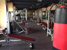 Commercial Fitness Equipment