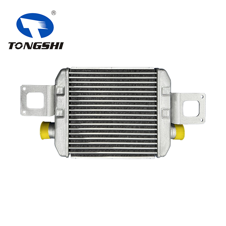 Auto Spare Part 179400W010 Aluminum Intercooler for Dutro Dyna 130HT/130HD Auto Spare Part 179400W010 Aluminum Intercooler for Dutro Dyna 130HT/130HD