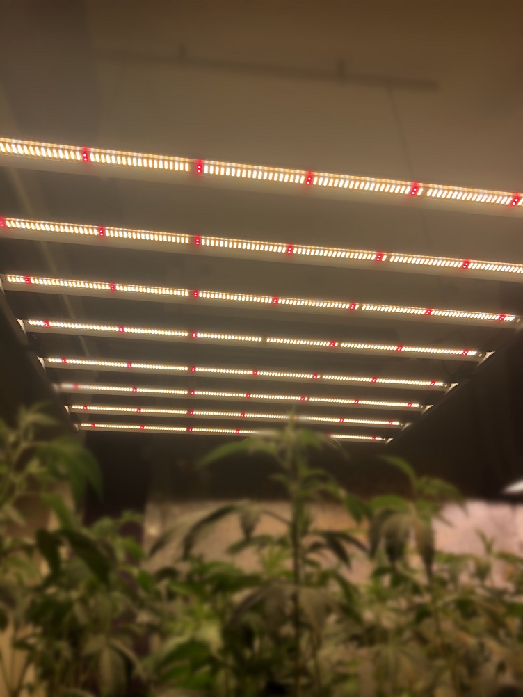led light bars for indoor farming(EC)