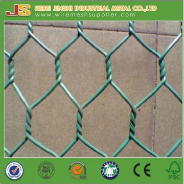 High Quality PVC Chicken Wire Netting From Factory