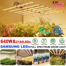 High Efficacy 640W Led Grow Light Sale