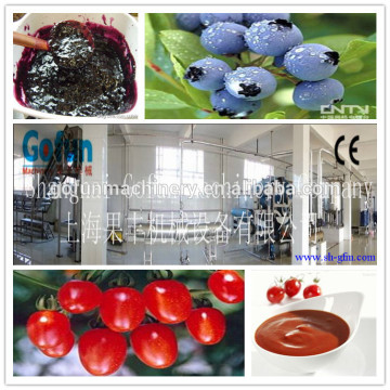 turn-key solution fruit jam/paste processing plant manufactured in shanghai gofun