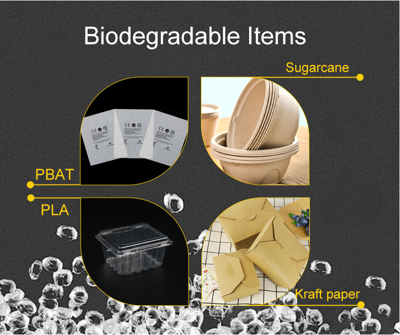 Biodegradable Disposable Cane Syrup Food Container Plates