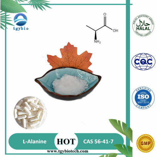 Оптовая цена L-Alanine, CAS 56-41-7 (продовольственный сорт) в запасе