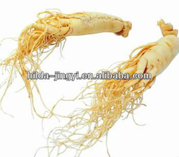 Oral Liquid Ginseng Extract