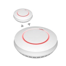 Battery Smoke Alarm Detector