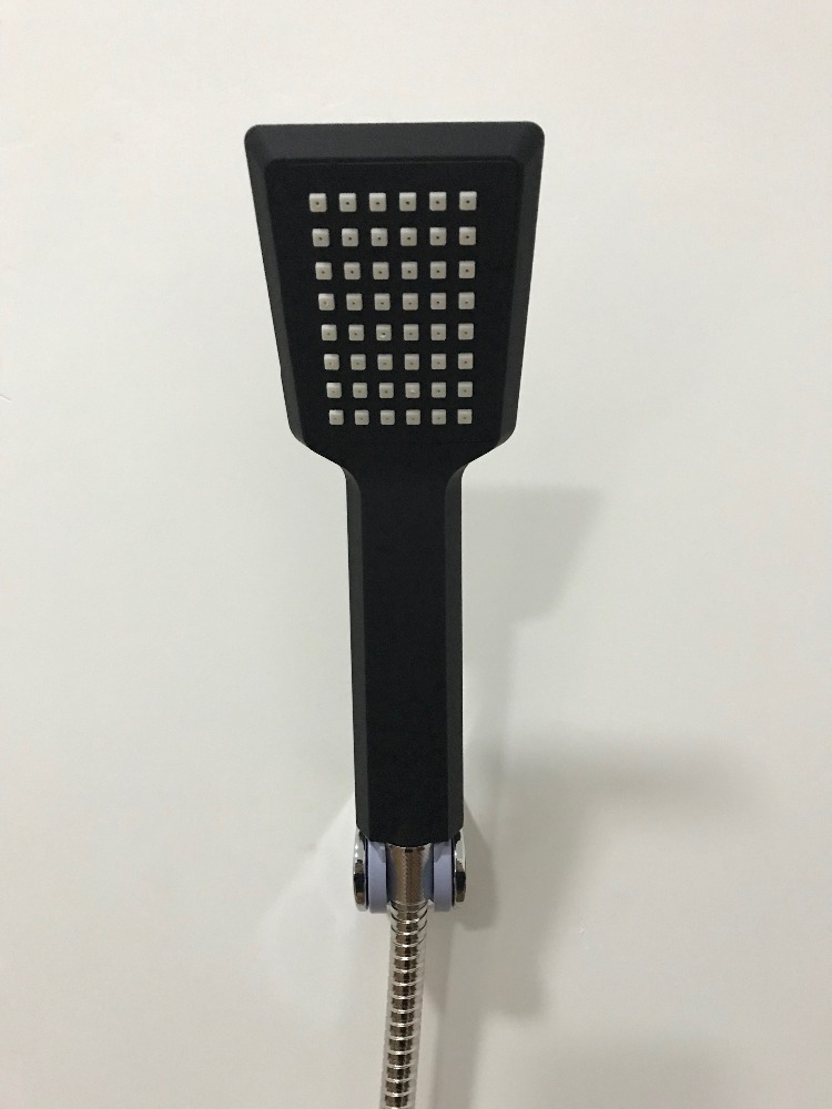 Delta Handheld Shower Head