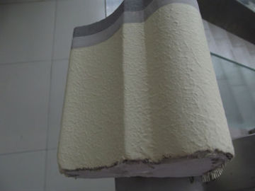 EIFS Elastomeric Paint