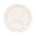 biodegradable dishes sustainable bagasse paper pulp plate