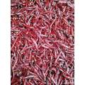 Ppepper dry spice Shizhu Chili export bulk sales