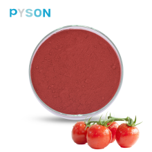 The natural pigment lycopene