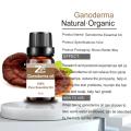 ความบริสุทธิ์สูง 100% น้ำมัน Ganoderma สุขภาพภูมิคุ้มกัน / ต่อต้านริ้วรอย