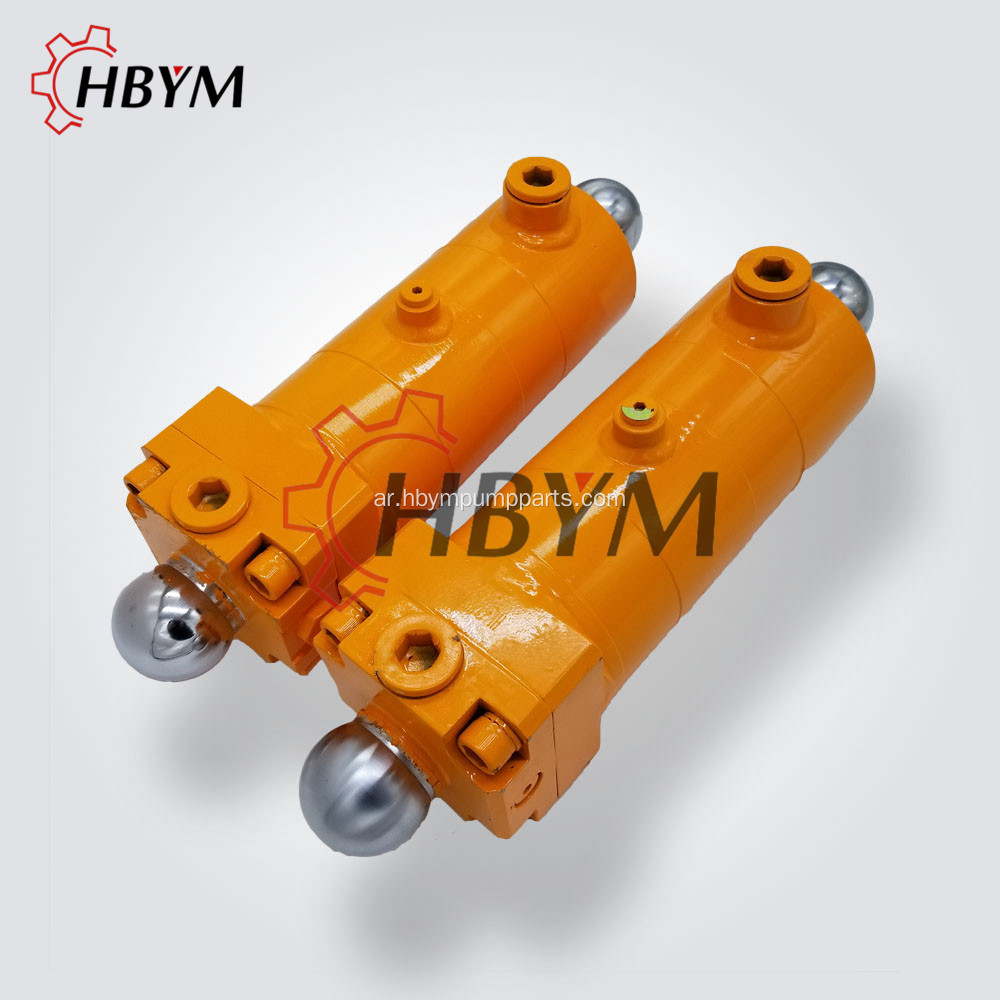 Q70 - 100 Sany Swing Plinger Cylinder