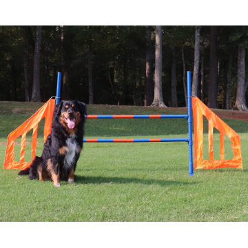 Hundens agility hopp set