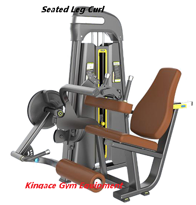 Fitness Equipment/Commercial Gym Equipment/ Leg Press Machine