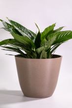 Tall Straight Round Flower Pot