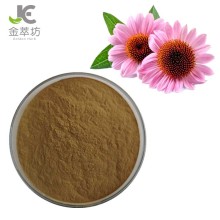 factory supply natural echinacea flower extract boost immune system echinacea extract 4%- 8% polyphenols