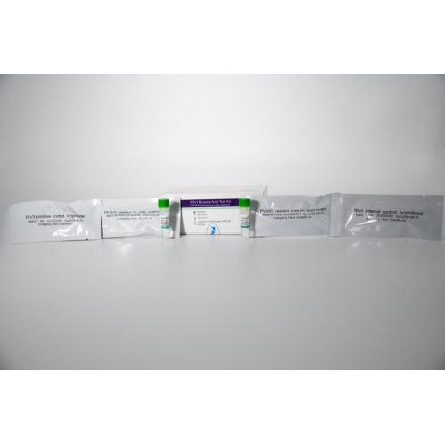 PIV3 Nucleic Acid Test Kit (PCR- fluorescence probe method)