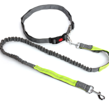 Multicolor nylon adjustable hands free dog bungee leads