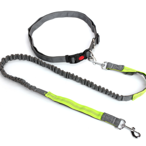 Nylon multicolore Mains réglables Dog Dog Bungee Dirigs