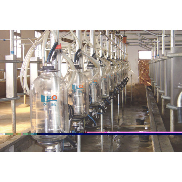 Dairy used mid-set milking parlor