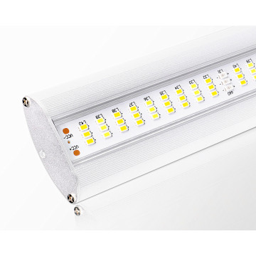 Lampada per piante idroponiche Full Spectrum 800W Grow Light