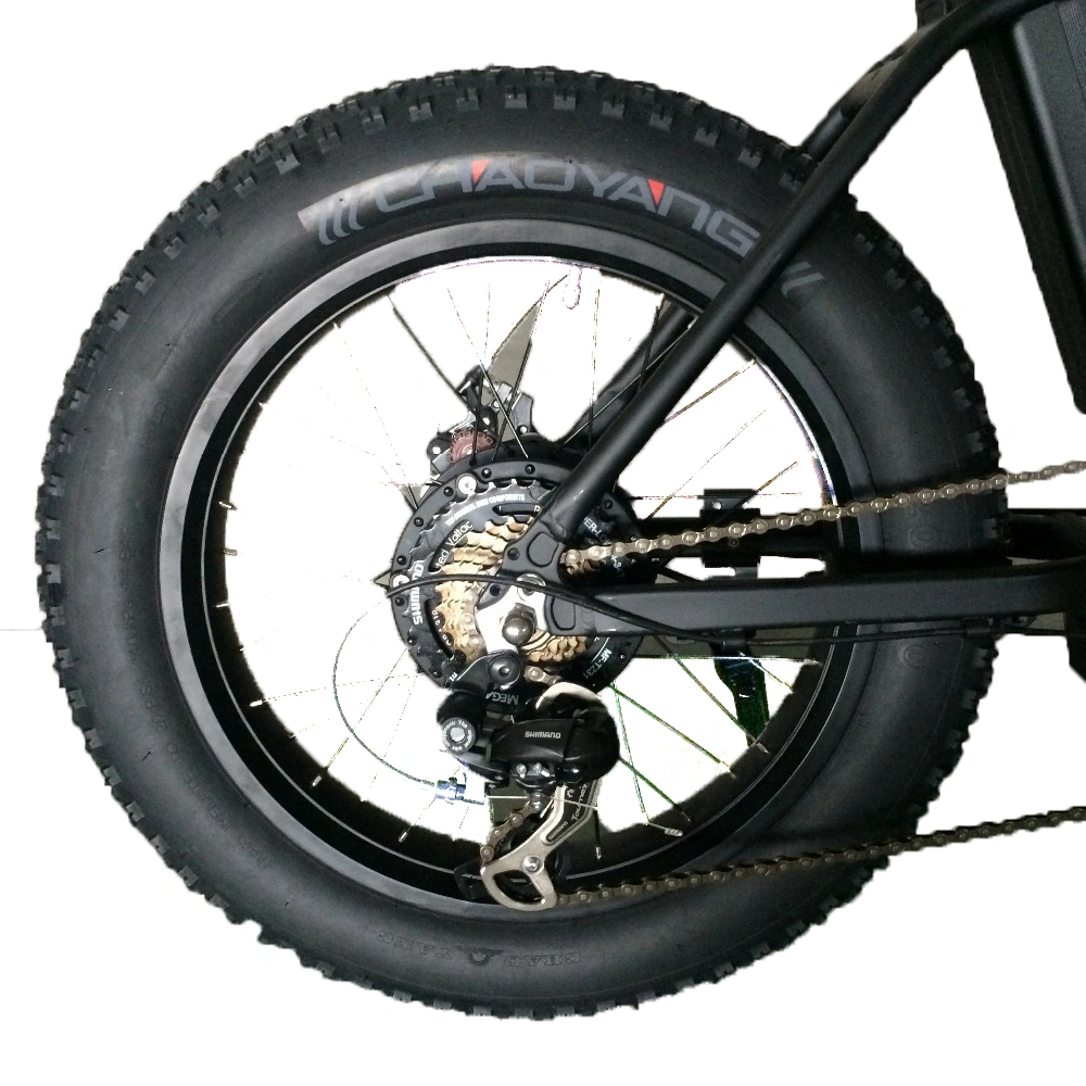 Bafang Motor 500/750/1000W 20 Inch Fat Tire Folding Ebike