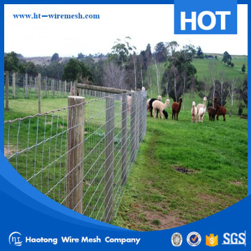 professional wholesale galvanized cattle fence