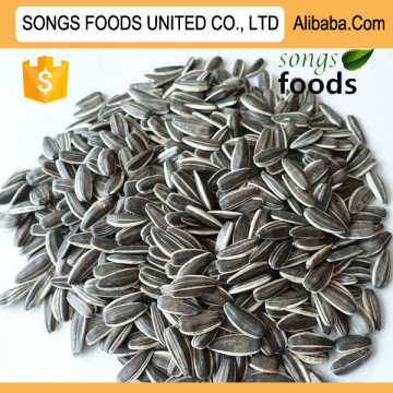 Export Sunflower Seeds Type 5009