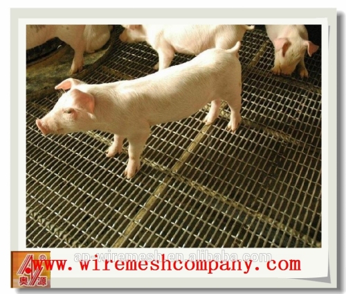 Low price crimped wire mesh for raising pigs/crimped wire mesh for sale