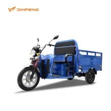 New Agricultural Electric Cargo Tricycle - 3 Wheeler 45 km/h