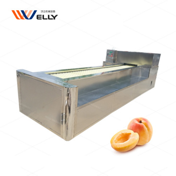 User-Friendly Apricot Pitting Machine for Easy Cherry Pit Removal