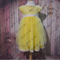 JannyBB conception magnifique tulle robe de princesse toddler