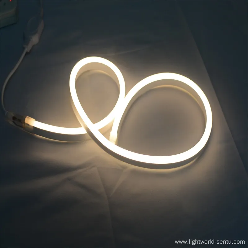 High Voltage LED Strip IP65 Waterproof Neon Lights