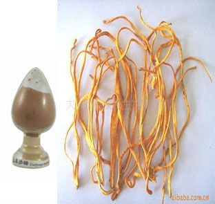 Cordyceps Extract,Cordycepes sinensis Polysaccharide