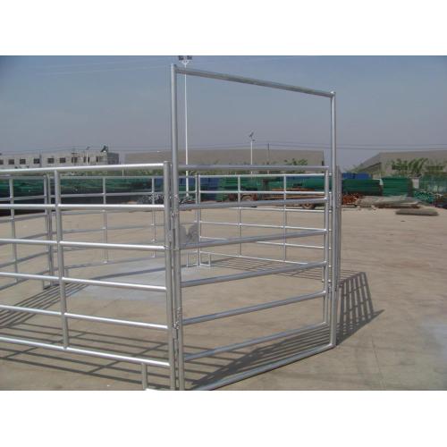 ngựa paddock hàng rào đường sắt tấm mạ kẽm