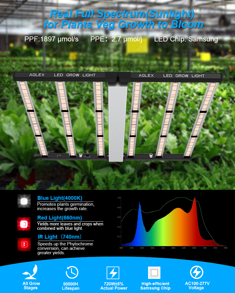 Luzes de cultivo baratas e baratas de alta qualidade 720W