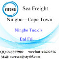 Ningbo Port LCL Consolidação Para Cape Town