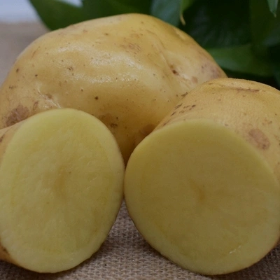 New Crop Fresh Potato Supplier From China